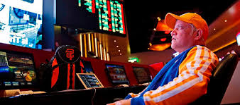Онлайн казино Casino Pautina